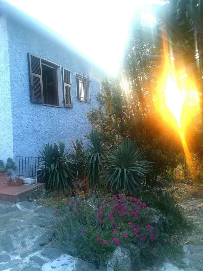 Il Capriolo Bed & Breakfast Celle Ligure Exterior photo